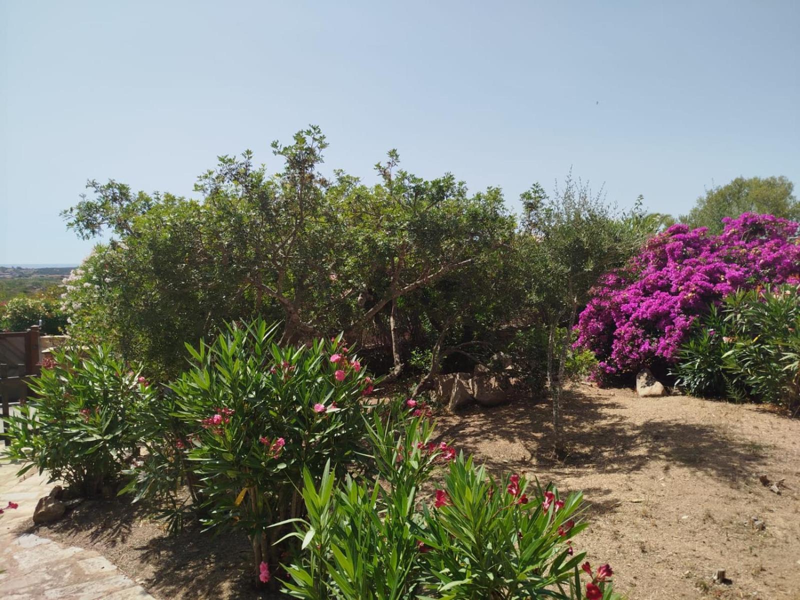 Villa Vista Mare Cala Ginepro Punta Molara Dış mekan fotoğraf