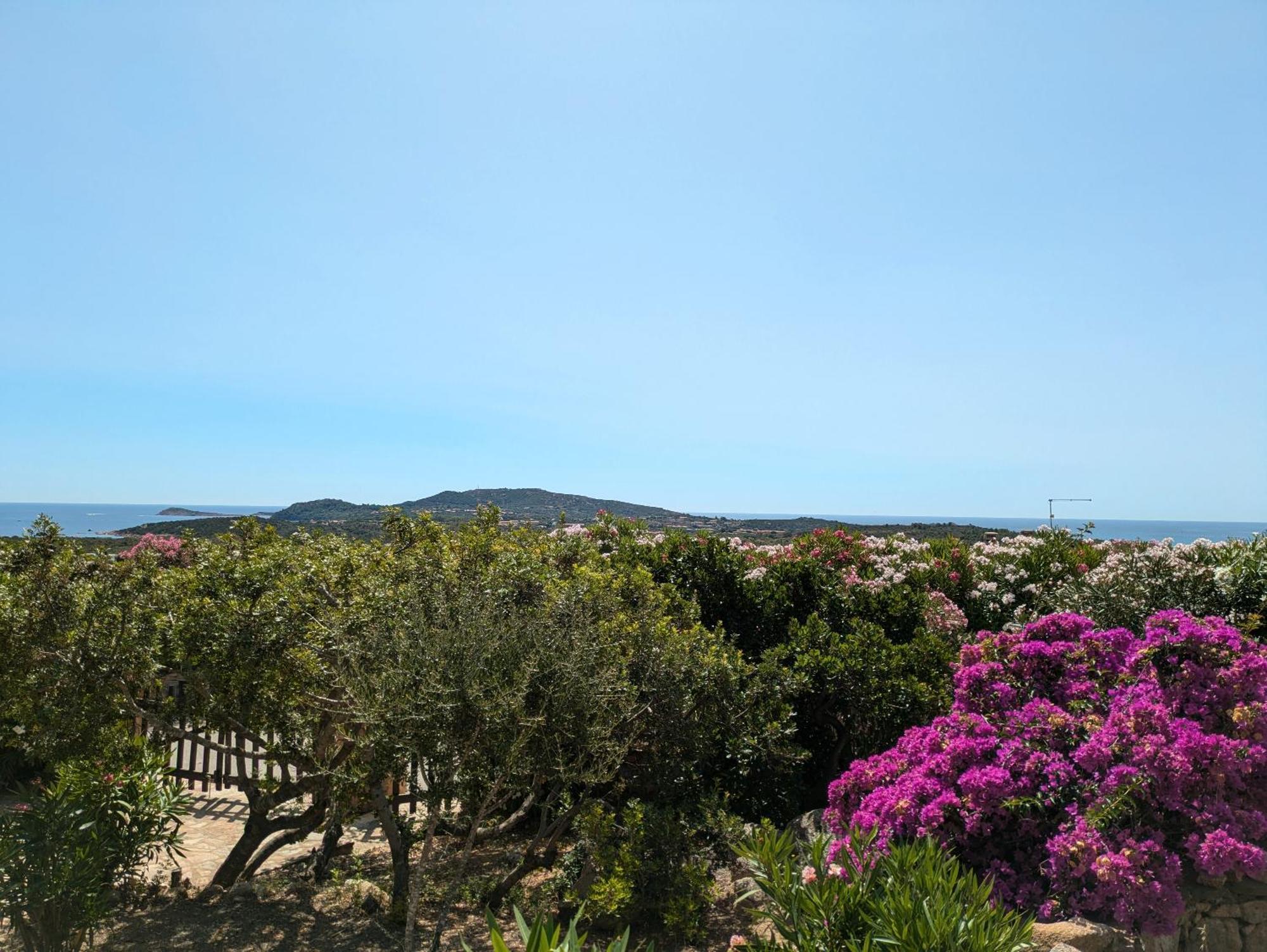 Villa Vista Mare Cala Ginepro Punta Molara Dış mekan fotoğraf